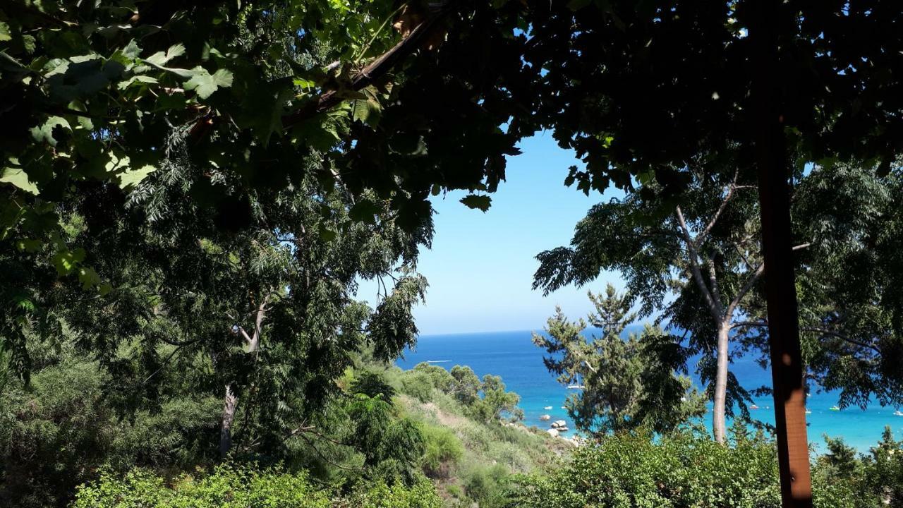 Marias Villa Protaras Exterior foto